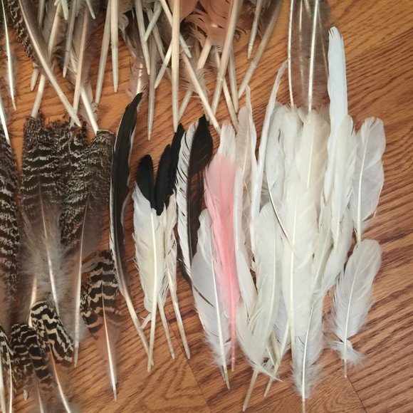 LOT 140 NATURAL PEACOCK BIRD FEATHER BOHO FESTIVAL CRAFT ART HOBBY COSTUME DECOR - Picture 11 of 16